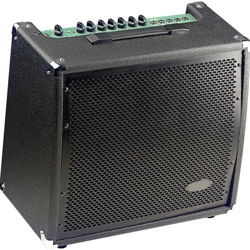 Stagg 60 GA R - 60W Guitar Amplifier with Spring Reverb